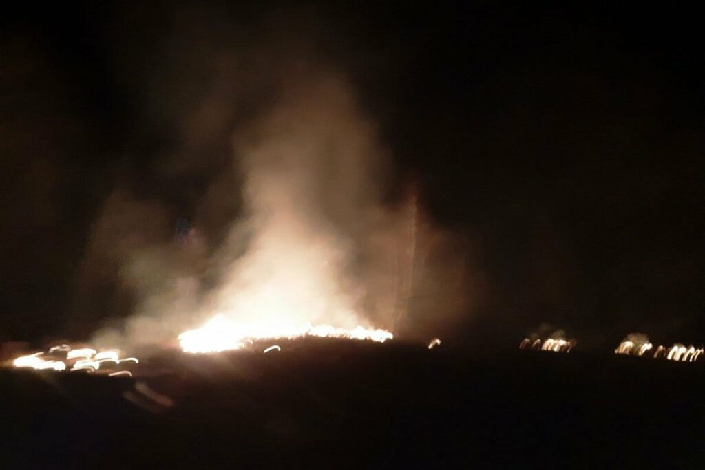 Požar kod Sanskog Mosta “progutao” tek zasađene sadnice četinara