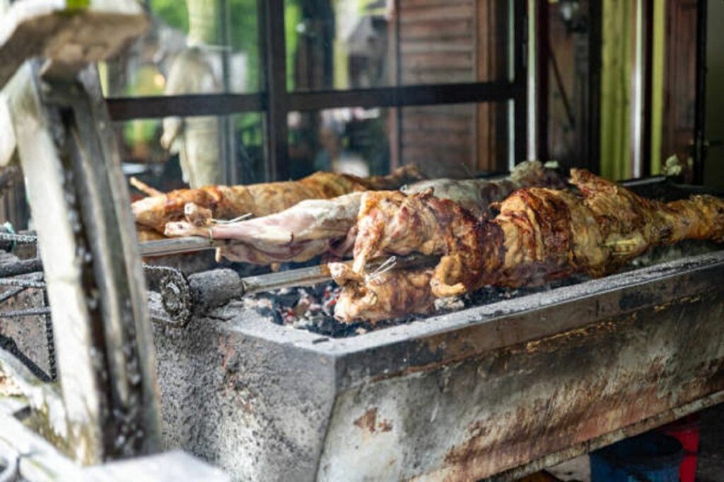 Amerikanac greškom mislio da komšije iz BiH “okreću” psa na ražnju