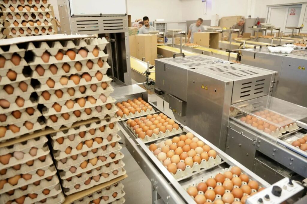 Ima li kraja divljanju cijena?! – Najavljena poskupljenja riže, kafe i jaja, i to ne malo