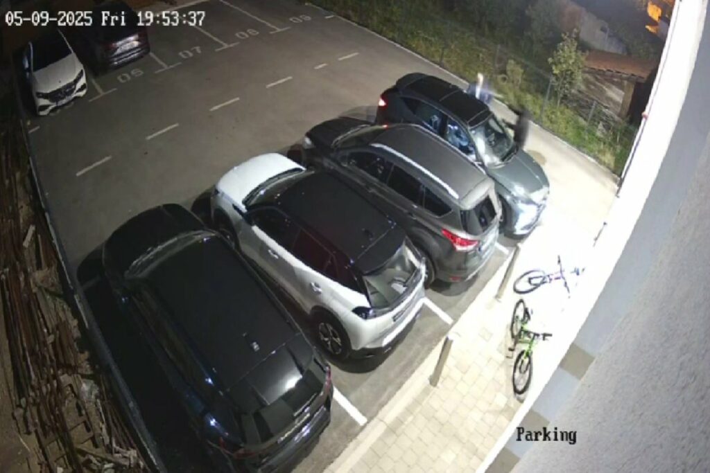 Branislav Borenović objavio snimak napada (VIDEO)