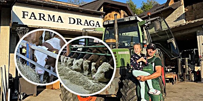 Nikad se bolje nije moglo živjeti od ovog posla, a da se manje ljudi bavi sa istim