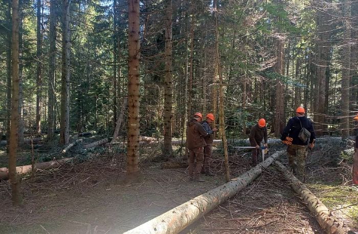 Unsko-sanske šume troše milione, zapošljavaju bez konkursa, revizori zvone na uzbunu