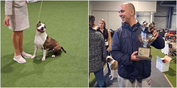 Ilaria De Mandraka prvakinja na Amstaff Majoru 2025!