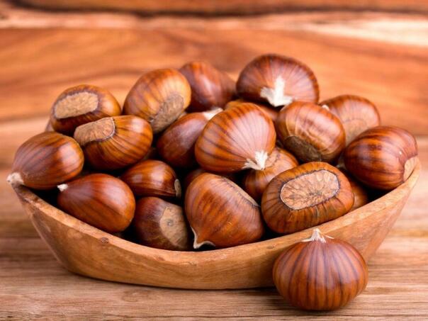 “Otrovni recept” preplavio TikTok: Ljudi pokušavaju jesti pogrešne kestene