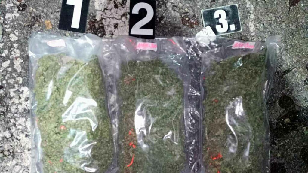 U akciji MUP-a USK u Velikoj Kladuši zaplijenjeno oko dva kilograma droge, uhapšena 35-godišnjak