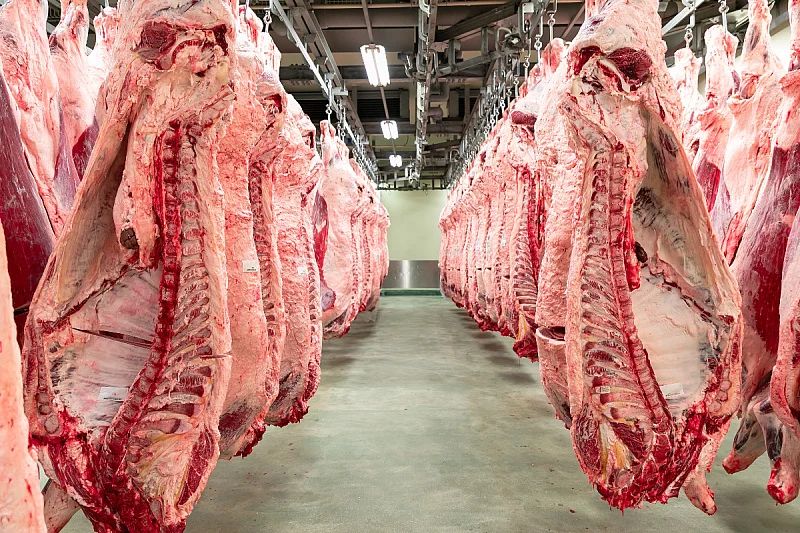 Zabranjen uvoz mesa goveda iz zemalja Južne Amerike, ovo može značiti novi rast cijena i nestašicu