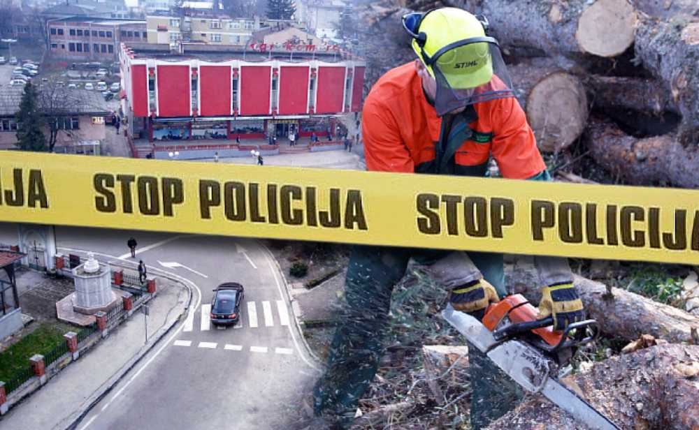 Posječeno šest kubika drveta, policija traga za počiniteljima