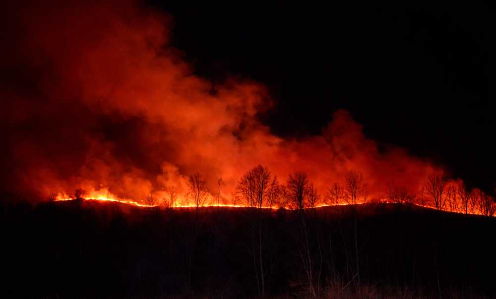 Borba vatrogasaca s vatrenom stihijom (FOTO)