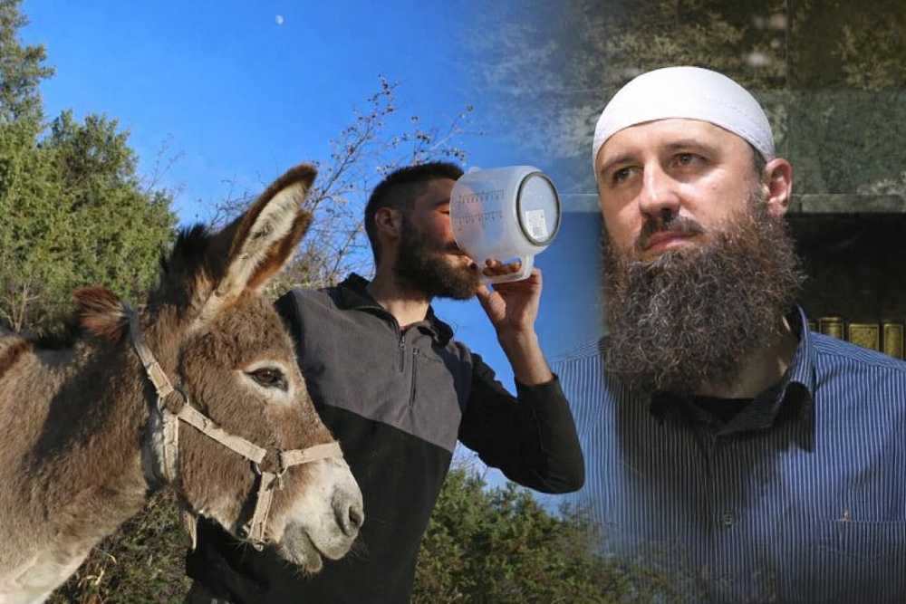 Magareće meso i mlijeko su zabranjeni