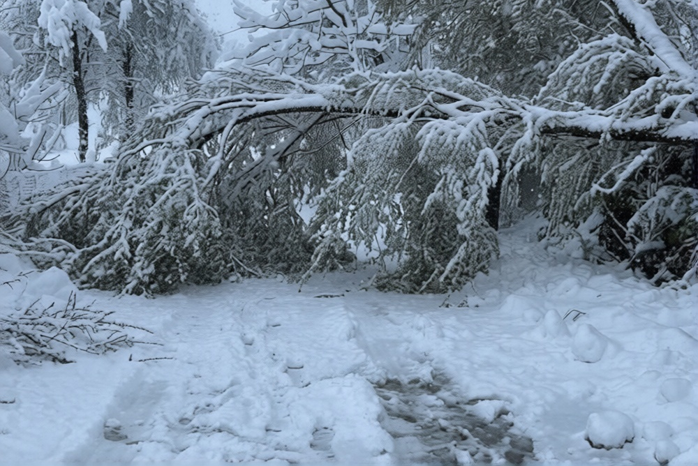 Snijeg i susnježica širom BiH, meteorolozi otkrivaju kada stiže novo pogoršanje