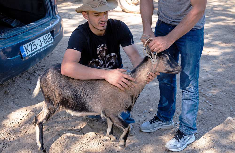 Dobri čovjek kupio kozu mladiću nakon što je njegov apel dirnuo javnost (VIDEO)
