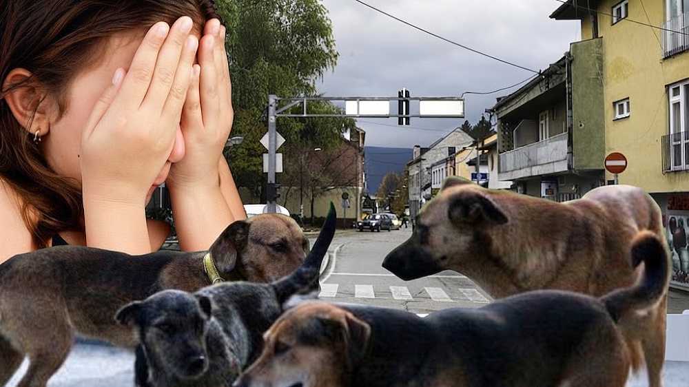 Psi lutalice napali djevojčicu u Bosanskom Petrovcu, zadobila povrede pri padu