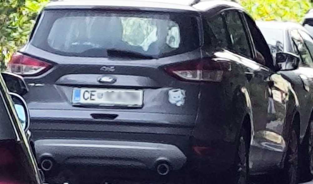 Sramotno! Vozač u Velikoj Kladuši pregazio mače i nastavio vožnju: