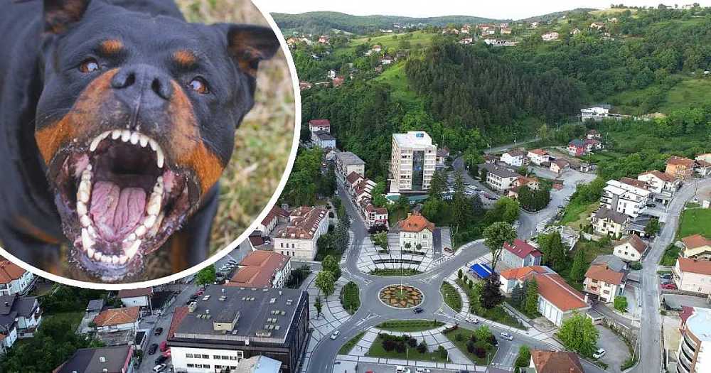 Rotvajler napao ženu, zadobila povrede