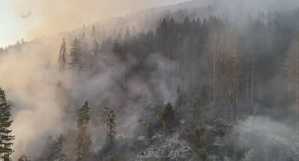 (VIDEO) Požar na Grmeču zahvatio šumsko područje kod Bosanskog Petrovca