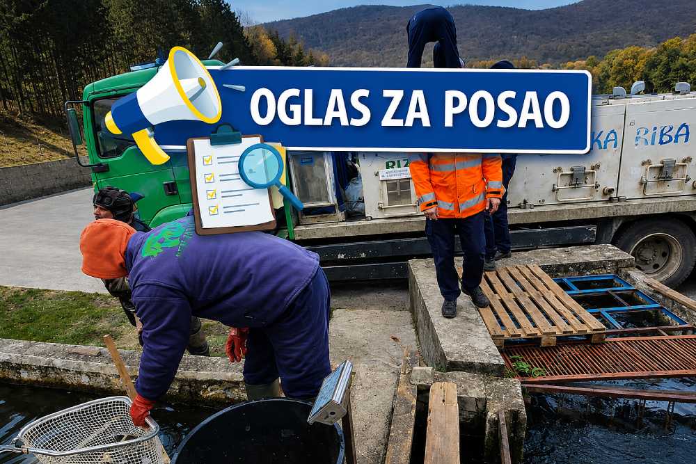 Tražite posao u Bihaću? RIZ-Krajina zapošljava, stručna sprema i iskustvo nisu potrebni