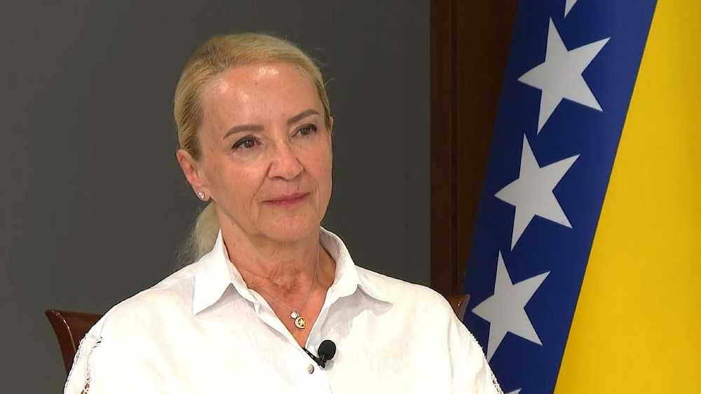 Sebiji Izetbegović vraća se zvanje magistra nauka