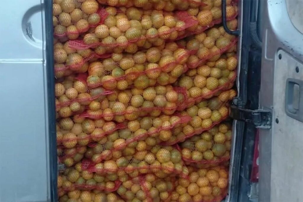 Graničari BiH zaustavili mercedes: Otkriveno 4.500 kg mandarina