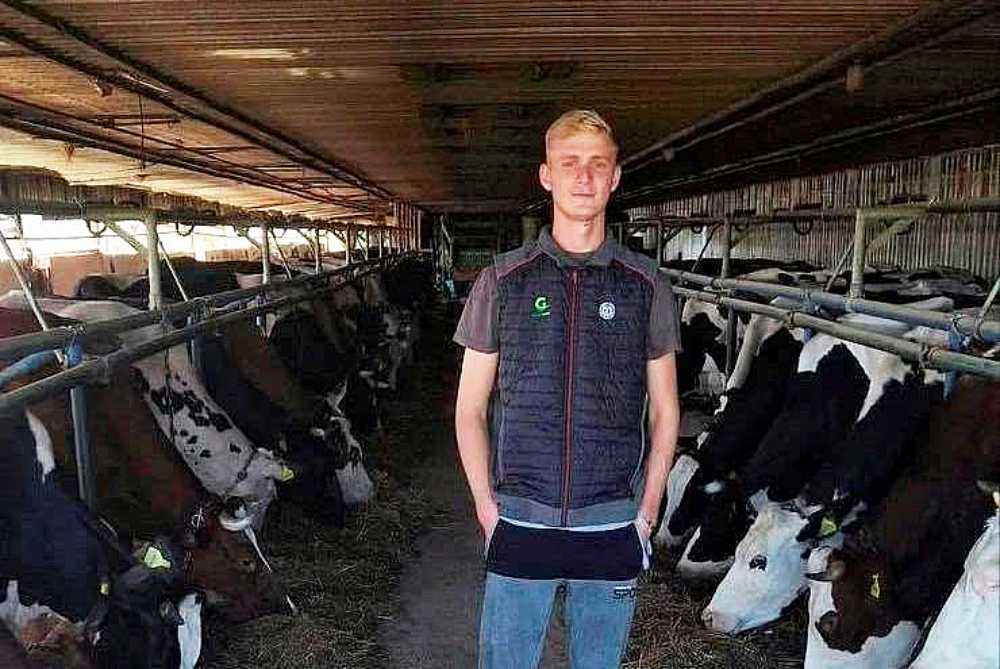 Farma iz Velike Kladuše proizvela 377.000 litara mlijeka